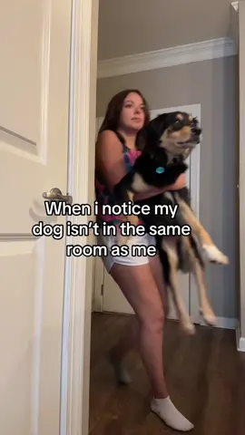 Get back here! #dogsoftiktok 