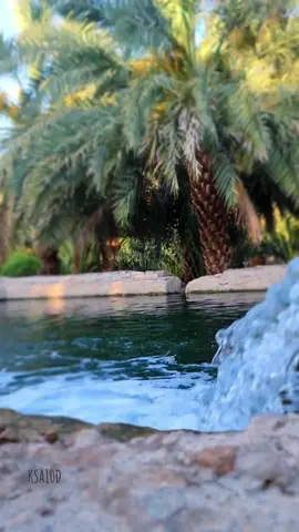 #إن_الله_وملائكته_يصلون_على_النبي 