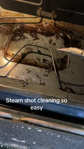 Makes for easy cleaning of ovens #bisselsteamshot #naturalcleaning 
