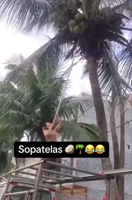 Jajaja hasta a mi me dolio 😂#humor 