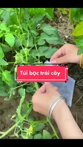 Túi bọc trái cây cao cấp #xh #muataitiktok #giadung #tuiboctraicay 