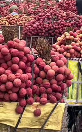 Wow! 来看看越南 #荔枝 Vietnam lychee !  #Lychee season 2023 微信： +84 931829221 #fruits #food #makanan #อาหาร #فاكهة  #фрукты #еда #meyve #farming #greenhousesg #tropicalfruit #fruit #水果 #frutta #buah #フルーツ #ผลไม้ #HealthBenefits #Delicious #vegetables #greenfarmforum #freshfruit #agriculture #荔枝 