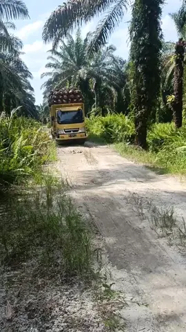 detik-detik... terbalik #sawit #riau #driver #supirtruck #pyf #truk #sad #menegangkan #ampun 