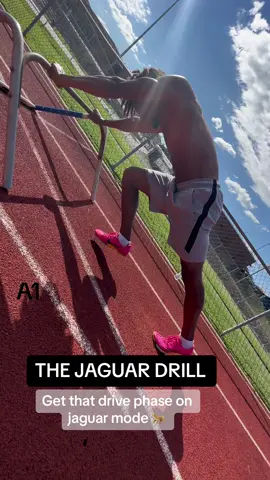 Do A.1 for 8-10 reps rest 20 seconds and do A.2 20-30 meters 🐆 Jaguat mode on 🐆 #trackandfield #athletics #Running #track #m #run #athlete #tracknation #Fitness #hurdles #runner #training #sport #olympics #sports #workout #longjump #shotput #motivation #sprinter #polevault #runnersofinstagram #sprint #runners #nike #javelin #marathon #discus #usatf #highjump #runningmotivation #trackandfieldlife #speed #crosscountry #atletismo #fit #tracklife #triplejump #thrower #instarunners #sprinting #football #speedtraining #discusthrow #throwers #fitnessmotivation #hammerthrow #tokyo #power #Love #leichtathletik #throwing #gym #athletes #hurdler #basketball #jump #nikerunning #worldathletics iaaf