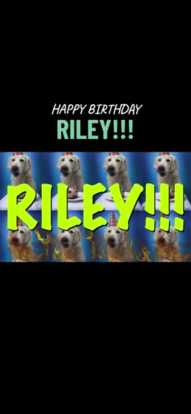 Tag Riley in this ASAP #happybirthdayriley #epichappybirthdays #itsyourbirthdaytoday #birthdaygreetingcard #memebirthday 