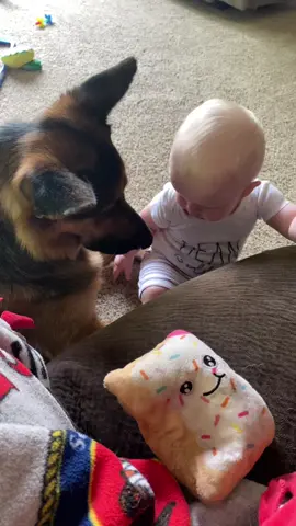 Just a boy and his doggo #deanthedisaster #trending #fyp #foryourpage #fypシ #funnytiktok #babytok #babiesoftiktok #Vlog #voiceovers #babyvlog #dogsoftiktok #getmanshepherd #germanshepardsoftiktok #MomsofTikTok #sillyboy #snacks #policecar #backtheblue 