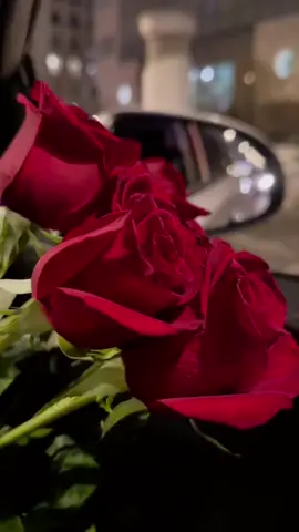 من غير ما نحكي تفهمني عينيك👀❤✨ #فيديوهاتي #اغاني #حب #ورد #وائل_كفوري #تصميمي #اكسبلور #foryou #fyp #نيزب🇹🇷عينتاب #tiktoklong 