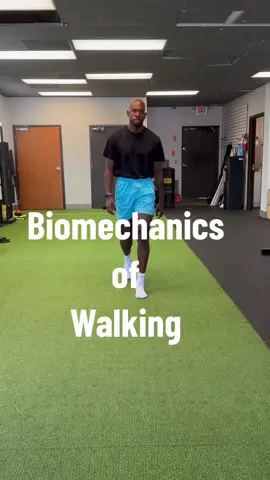 The is a great example of the biomechanics of the gait cycle or walking  The gait cycle is an intricate balance of absorbing forces through softening and eccentrically loading, and then stiffening and concentrically moving to generate propulsion or forward movement. 