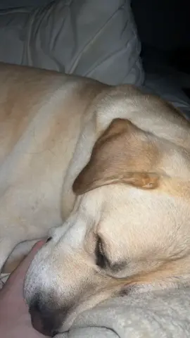 mom life 