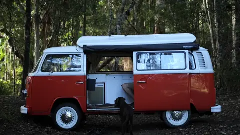 Bushcraft 304 #bushcraft  #camp  #camping  #survival  #shelter  #wildlife  #Outdoors  #outdoor  #viral  #fyp  #foryou
