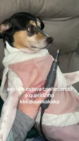 Dia de manicure a domicilio #nails #dog #alongamentodeunhas #unhasgrandes #cachorro 