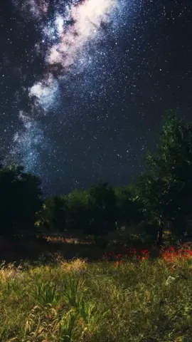 Starry Night 🌌 #peacefulvibes #stars #peace #calm #relaxingvideos #scenery #fyp #nightsky #nature