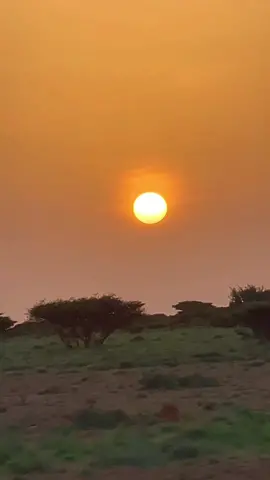 Weligaa Jewi noocaan ah Ma kusafartay? Qoraxdoo Aroortii Qaybisay Falaaraha #xaajikhayr #nugaal #garowe #puntlander🇸🇱 #somalia #somalitiktok #fyp #cawaalekoronto 