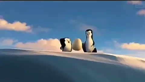 pinguin toxic🤣 #fyp #foryoupage ## #following 