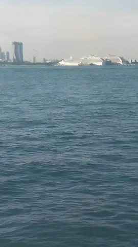 coba dlu #fypシ゚viral #fypシ #pelautindonesia #singapore 