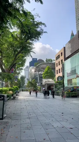Take it easy and enjoy a leisurely morning stroll down Sunny Orchard Road.  Aside from its skyscrapers and lavish shopping malls, Singapore is known for its green spaces, which have a lot to offer. There are seven parks with hiking routes where you may take in the scenery. However, even a modest route like Orchard Road will provide you with a relaxing walk at any time of day. . . . . #theflyingbamboo #travel #Singapore #SG #orchardroad #Singaporeparks #morningwalk #fyp #foryou #traveltiktok #traveltok