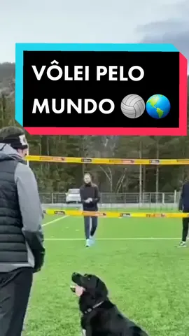 Vôlei pelo mundo🏐🌎 Parte 6✨️ #volei #volleyball #voleibol #fy #viral 