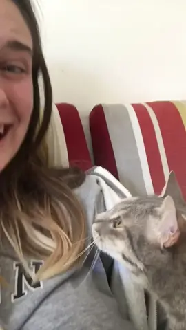 Best clips VOL 3 #fyp #bestclips #viral #compilation #chaotic #fails #snapchat #waitforit 