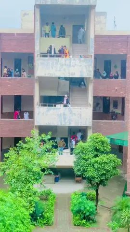 Juniors kesa enjoy kar rahey hain  barish ko 😇😅🥰#gcuf_faislabad #gcuniversityfaisalabad #oldcampus #weather 