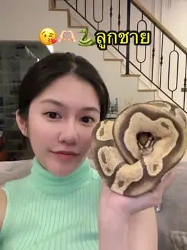 #เพื่อนรัก #ลูกชาย #งู #งูบอลไพธอน #งูบอล 