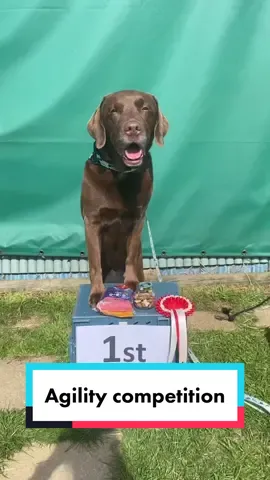 My favourite throwback 🥲🏆