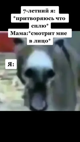 Жиза #друзья #видео #youtube #рек #fake #shorts #happy #fyp #tiktok #mem #duet 