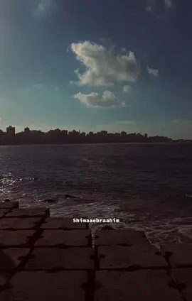 #ميكس  #شيرين_عبدالوهاب  #funny #fybシ #viral #fybシ #fyyyyppppppp #mansoura #shimaa 