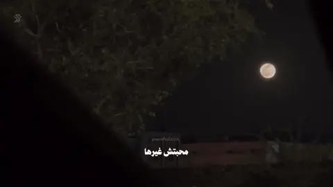 محبتش غيرها،🤎#foryou #foryoupage #dancewithpubgm #حالات_واتس #الفيراري🤍 #fypシ #fyp #عمرو_حسن 