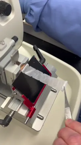 Have you ever wondered what a histotechnician does? Check out this demo of a microtome machine sectioning backstage in one of our medical labs.  Histotechnicians start their day creating specimen slides from biopsied tissue, allowing patients to receive specialized testing and more accurate diagnoses. Join our laboratory teams and start making your community healthier. Link in bio to apply!  #BJCcareers #NowHiring #Histotech #GraveyardShifts #MedicalLabs #Microtome #LabDemo #Specimen #TissueSpecimen #careers #lab #labtok #labtech #labtechtok #fyp #foryou #science #sciencetok #labprofessional #medicallab #trending #trend 