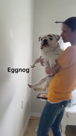 One out of two ain't bad...🤦🏻‍♀️😂 #smartdogchallenge #fyp #foryoupage #tiktokdogs 
