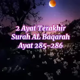 Kelebihan 2 ayat terakhir Surah Al Baqarah dari Hadith Sahih 1- Pelindung gangguan syaitan 2- Dua ayat ini hanya turun kepada Nabi Muhammad saw 3- Ayat ini diturunkan daripada Arasy Allah 4- Apabila 2 ayat ini turun, semua pintu langit terbuka.