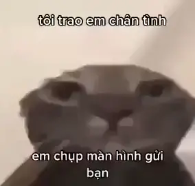 stolen