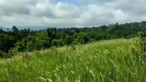 🌳🌲🌄🏞️⛰️🌤️🌞💚