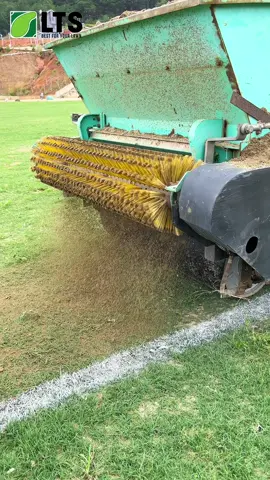 #sanbongda #ltssportsturf #cosanbong #cobermuda #copaspalum #cosangolf #topdressing #lacduong 