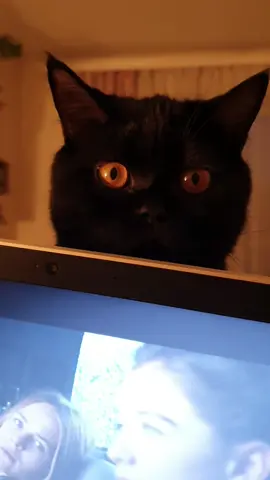 Попросив своїх шкіряних і мені зробити таке трендове відео😻 #trending #movie 