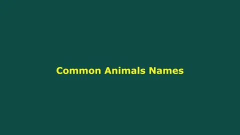 Common Animals Names#اللغة_الانجليزية #الحيوانات #learnenglish #englishteacher #العراق #بغداد #البصرة 