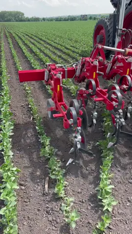 SECTION-CONTROL ✅ Made by #einboeck in #austria #einbock #einböck #rowcrop #cultivator #hackgerät #hacke #fusionfarming #farmpower #farming #mechanicalweeding #weeding #hoeing #weedcontrol #binage #bineuse #desherbagemecanique #desherbage #farmpower #landwirt #landtechnik #fendt 