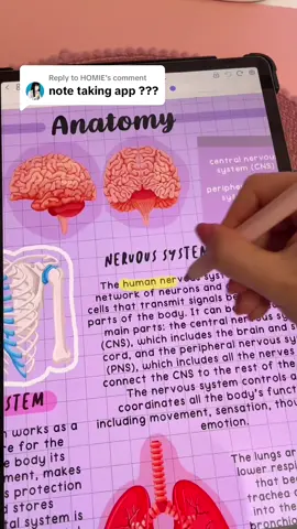 Replying to @HOMIE   I use Penly app for note taking, digital planning & journaling on my Samsung galaxy tab ✍️ its my fav android app💗 #penlyapp #penly #samsunggalaxy #samsungtablet #galaxytab #galaxytabs8 #galaxytabs7fe #galaxytabs8ultra #spen #digitalnotes #digitalnotetaking #digitalplanner #digitalplanning #digitaljournal #androidtips #androidapps #samsungtips 