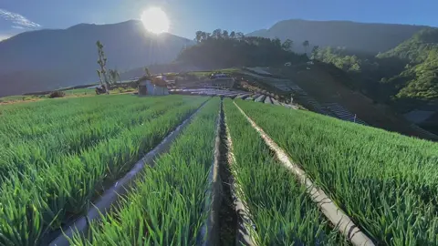 #CapCut Manjain mata kalian dulu ya 😁 | #fypシ #aesthetic #cinematicvideo #healing #tiktoktravel 