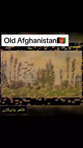 #afghanistan #موزیک_افغانستانی #شرافت_پروانی #merajwafa #ahmadzahir #محلی #music #موسیقی 