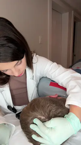 ASMR he’s half asleep by now | most relaxing sensory exam and scalp check for Jack to help him fall asleep, medical roleplay to relax #asmrmedical #asmrvideo #asmrdoctorroleplay #asmr #asmrdoctor #madpasmr #asmr_tingles #asmrhair #asmrscalp #asmrsounds #asmrhairsounds #asmrsensory #asmrscalpcheck #asmrroleplay #asmrhairplay #asmrscalpexamination #asmrscalpmassage #asmrsharpordull #asmrmedicalexam #asmrtiktoks 
