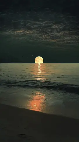 #moonview #fyp #foryou #fypシ #seaview #natureview #tiktok #healing 