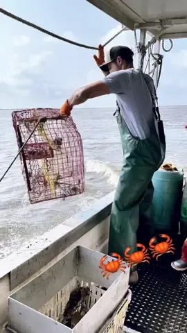 Catching blue crab on the Bayou. #freshseafood #bayou #dirtyjobs 