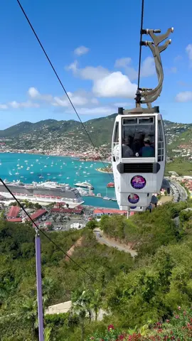It's has been 10 years since we went up to Paradise Point in St. Thomas, so it was definitely time to get back up there and enjoy the stunning views. Your tickets allow you to go up and down as many times you'd like throughout the day. At the top, you'll find some shopping, a restaurant and lots of space to relax and take in the wonderful views. 🤩 . . . . . #stthomas #stthomasvirginislands #stthomasusvi #paradisepoint #charlotteamalie #gorgeousviews #mountaintop #skyride #paradise #tropical #cruiseport #portday #norwegiancruiseline #carnivalcruise #rovalcaribbean #disneycruiseline #reels #reelitfeelit #reelit #cruise #cruising #vacationvibes #makingmemories #havingfun #cruiseaddicts #cruisecollection #cruise2023 #cruisetok #cruisetok2023 #cruisetiktok #cruisingtok #cruisingtiktok #reelsinstagram #reels__tiktok #reelsvideo 