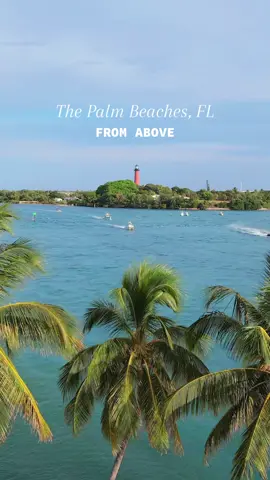 The Palm Beaches 🌴 A true tropical paradise located along Florida’s Atlantic coast.  Have you been? Let us know in the comments below!  🎥 Follow @thecapturingcouple for more travel and adventure content!