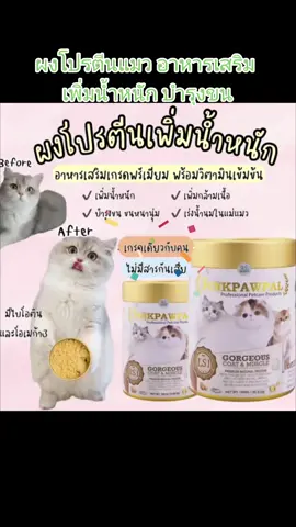 🌿🌿โปรีตีนแมว เสริมสร้างกระดูก เส้นขน บำรุงน้องแมวให้สดใน สวย อ้วนขึ้น ตามลำดับ🌿🌿#รักแมว #ทาสแมวก็งี้เเหละ #tiktok #อุปกรณ์สัตว์เลี้ยง #อุปกรณ์สัตว์เลี้ยงคุณแม่ลูก2 