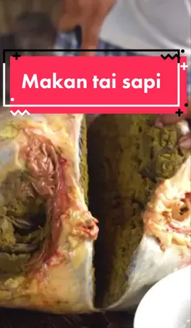 Makan tai sapi #viraltiktok #mukbang #primitive_technology 