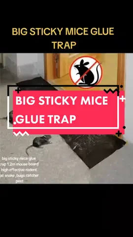 big sticky mice glue trap ♥️ #gluetrap #stickymiceglue #foryou #tiktokviral #tiktokaffiliate#CapCut 