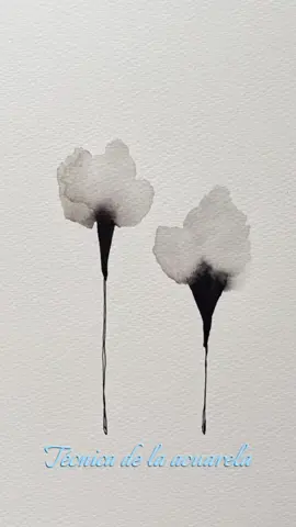 Acuarela de flores en blanco y negro. #watercolorpainting #waterolorart #watercolorflorals #flowerartwork #acuarelas #dibujarfacil #dibujosfaciles #aestheticflowers #drawingtutorial #watercolorguide