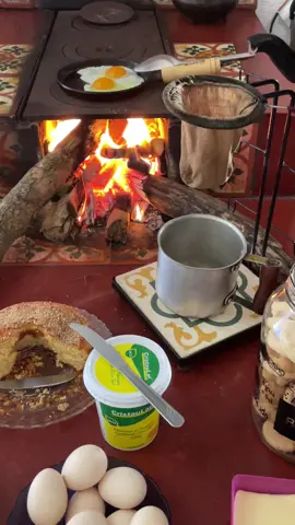 Bom dia 🙏☕️🏠🚜🤠🌳👏👏#tiktok #roça #minasgerais #cafe 